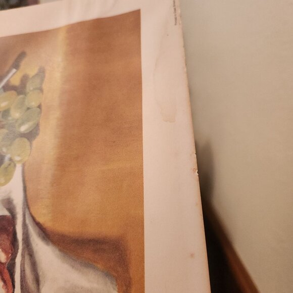 Wilf Walker Framed Still Life Print Felix Rosenstiels Widow & Son 1969 Art - Picture 6 of 16